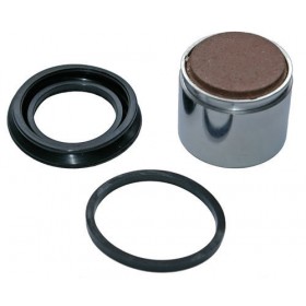 REMKLAUW ZUIGER KIT 43mm x 22mm Achter